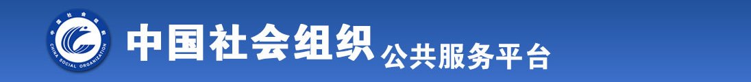 模特操老外鸡巴全国社会组织信息查询